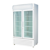 Ex-Showroom: Thermaster Large Two Glass Door Colourbond Upright Drink Fridge - LG-1200P-QLD314