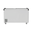 Thermaster Heavy Duty Supermarket Glass Sliding Lid Freezers 666L - SD-666K